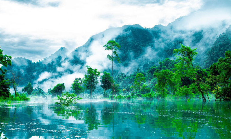 Đinh Quốc Kỳ