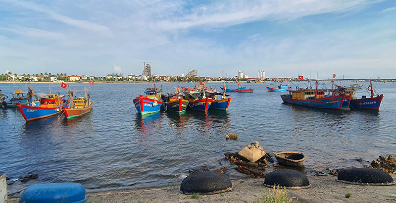TP. Đồng Hới tăng cường kiểm soát tàu cá ra vào cảng, tàu cá có nguy cơ vi phạm IUU.