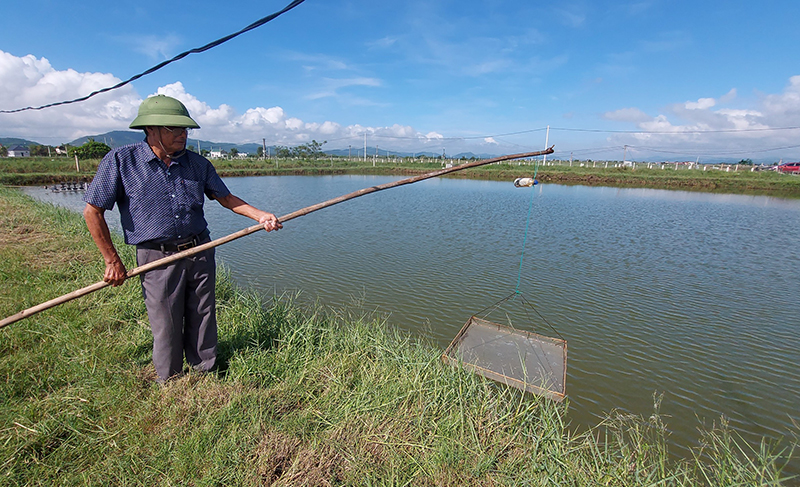 Việc quản lý cộng đồng trong NTTS bước đầu mang lại hiệu quả thiết thực cho các hộ dân ở xã Hạ Trạch.