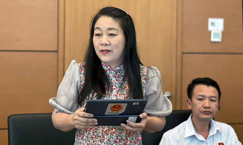 Đại biểu Nguyễn Thị Tuyết Nga thảo luận tại tổ