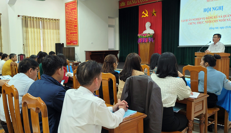 Hội nghị tập huấn nghiệp vụ đăng ký và quản lý hộ tịch, chứng thực, nuôi con nuôi do Sở Tư pháp tổ chức