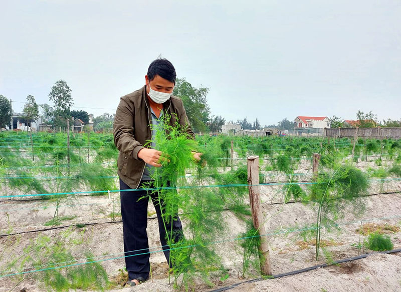 Nguồn vốn tín dụng giúp nhiều hộ dân đầu tư các mô hình, phát triển kinh tế.