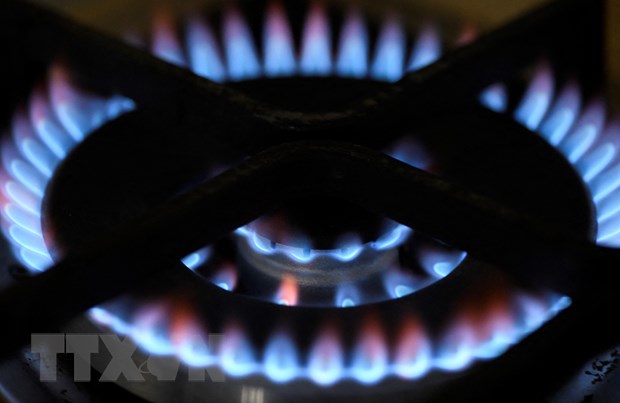 Sử dụng bếp gas tại Dortmund, Đức. (Ảnh: AFP/TTXVN)