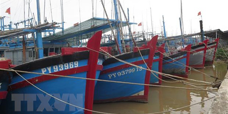 Các tỉnh, thành phố cần thông báo kịp thời cho thuyền trưởng, chủ các phương tiện, tàu thuyền. (Ảnh: Tường Quân/TTXVN)