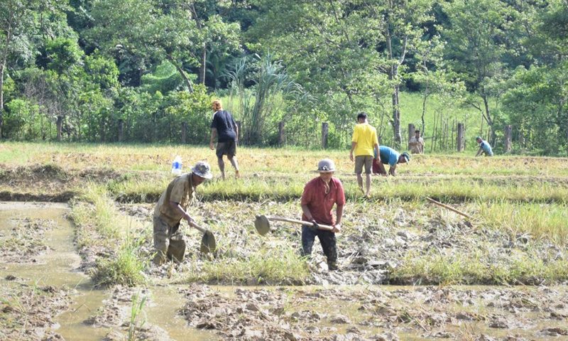 Người dân miền núi, vùng đồng bào dân tộc thiểu số đầu tư sản xuất, nhân rộng mô hình kinh tế để thoát nghèo bền vững.