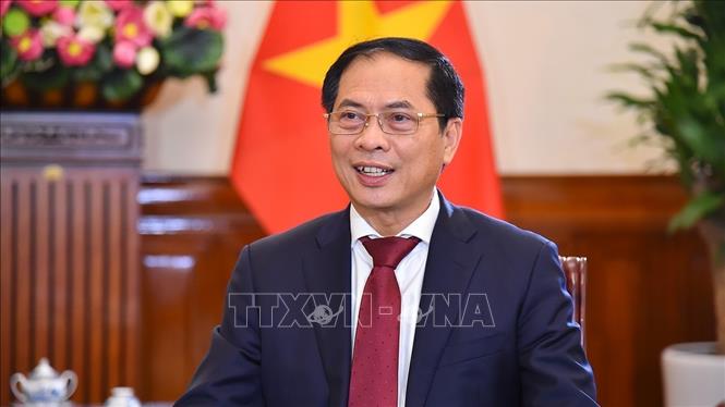 Bộ trưởng Ngoại giao Bùi Thanh Sơn. Ảnh: TTXVN phát