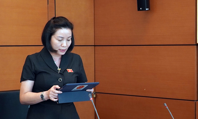 Đại biểu Nguyễn Minh Tâm tham gia thảo luận