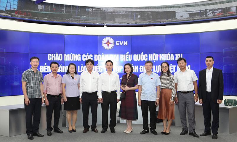 Đoàn ĐBQH tỉnh thăm và làm việc tại Tập đoàn Điện lực Việt Nam