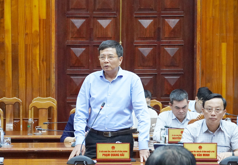 Lãnh đạo Sở Công thương phát biểu tại phiên họp.