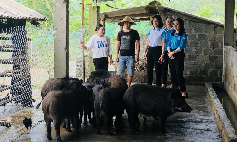 Hội LHPN tỉnh tham quan mô hình kinh tế của chị Cao Thị Thương.