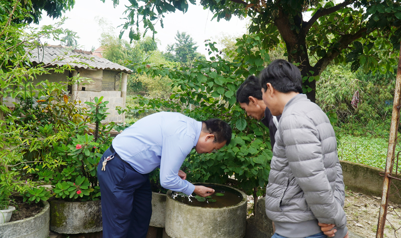 Bác sĩ Đỗ Quốc Tiệp, Giám đốc Trung tâm Kiểm soát bệnh tật giám sát véctơ SXH tại xã An Thủy (Lệ Thủy).