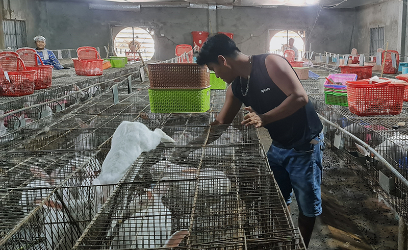 Từ ngồn vốn vay ưu đãi, nhiều ĐVTN phát triển các mô hình chăn nuôi cho thu nhập cao.