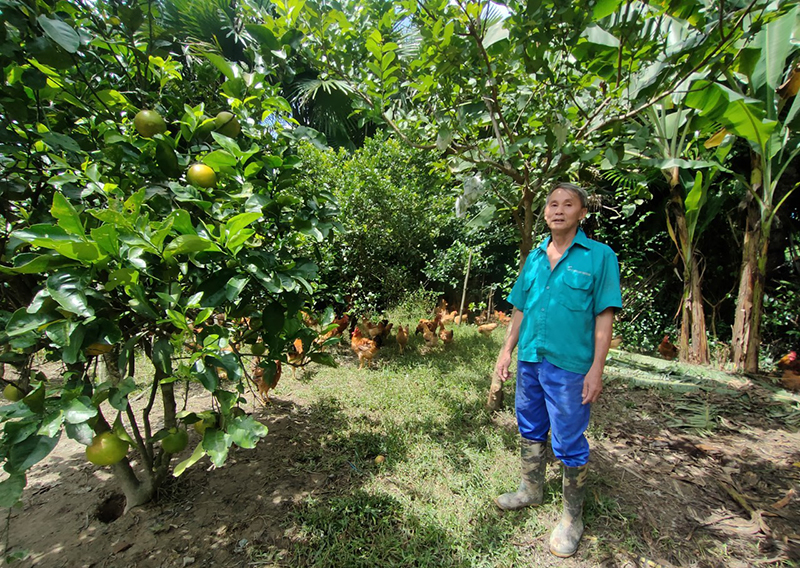 Nhờ có sự hỗ trợ, giúp đỡ của Hội Nông dân các cấp, ông Trần Văn Thanh đã vươn lên thoát nghèo, ổn định cuộc sống.