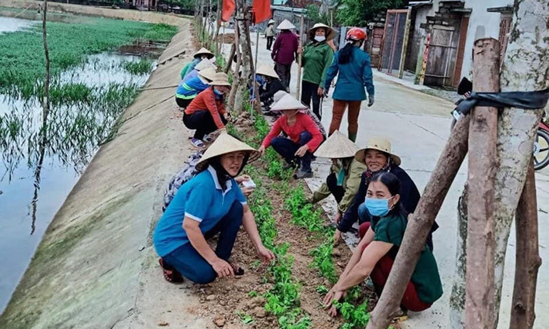 Bà con thôn Giữa, xã Vạn Ninh (Quảng Ninh) phấn đấu hoàn thành các tiêu chí KDC NTMKM.