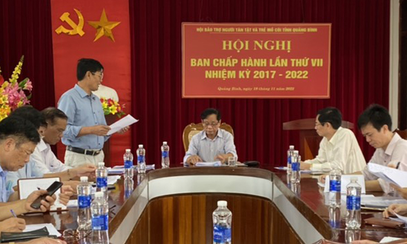 Hội Bảo trợ người tàn tật và trẻ mồ côi tỉnh tổ chức hội nghị ban chấp hành lần thứ VII 