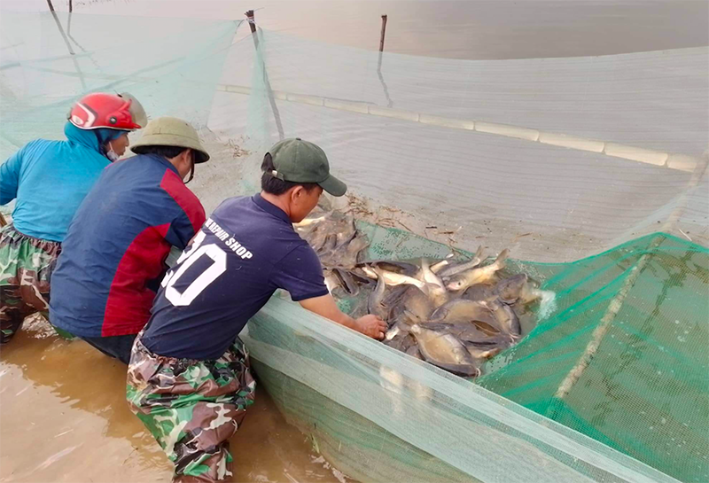 Nuôi trồng thủy sản mang lại nguồn thu nhập ổn định cho người dân trên địa bàn huyện.