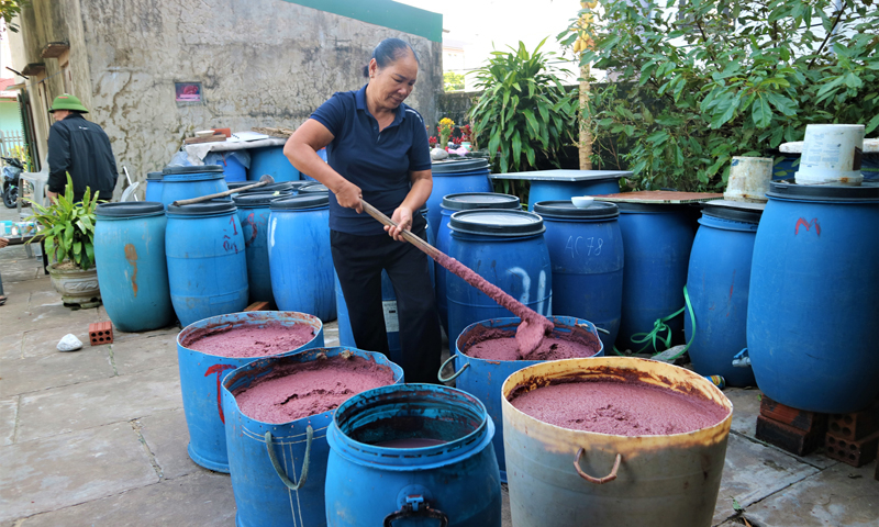 Cơ sở sản xuất nước mắm của bà Lê Thị Thuần đem lại hiệu quả kinh tế cao.