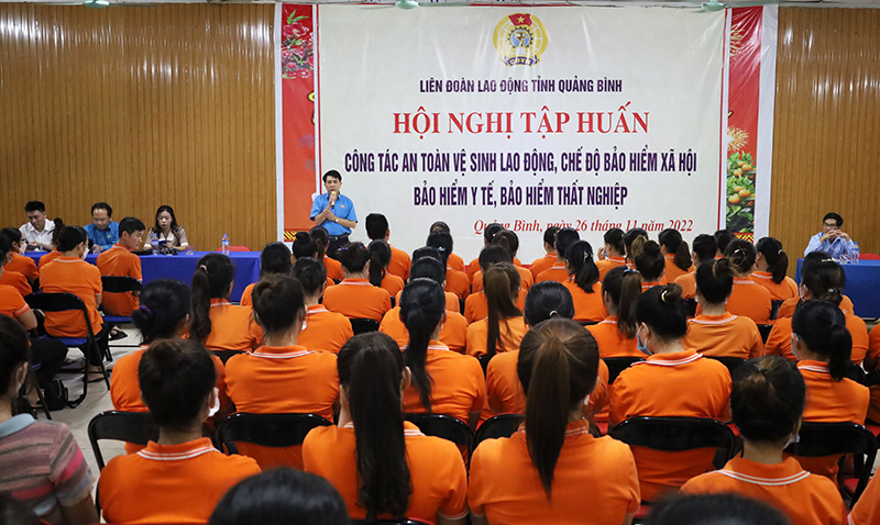 Toàn cảnh hội nghị tập huấn.