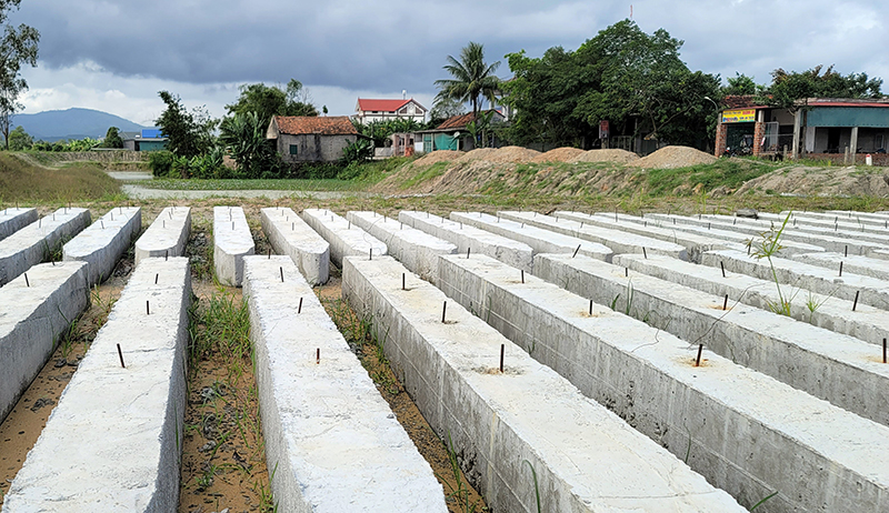 Các cột bê tông hàng rào thuộc dự án đã được đúc xong.