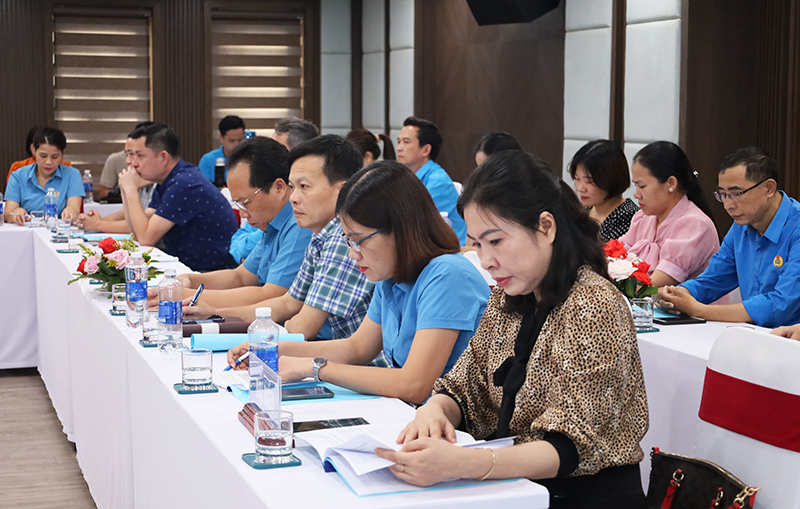 Các đại biểu dự hội nghị.