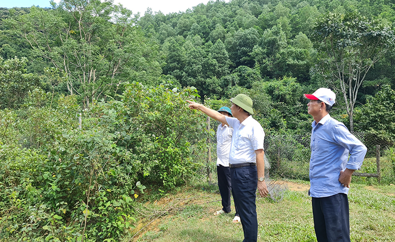 Lãnh đạo huyện Quảng Ninh khảo sát bến Cập, bến Lùi thuộc hai xã Trường Xuân và Trường Sơn (Quảng Ninh).