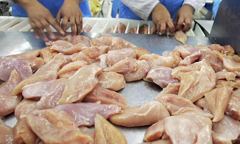 Salmonella có thể tìm thấy trong rất nhiều loại thực phẩm như thịt gà, thịt bò, thịt lợn, trứng, rau, trái cây và thậm chí cả trong thực phẩm chế biến. (Nguồn: Getty Images)