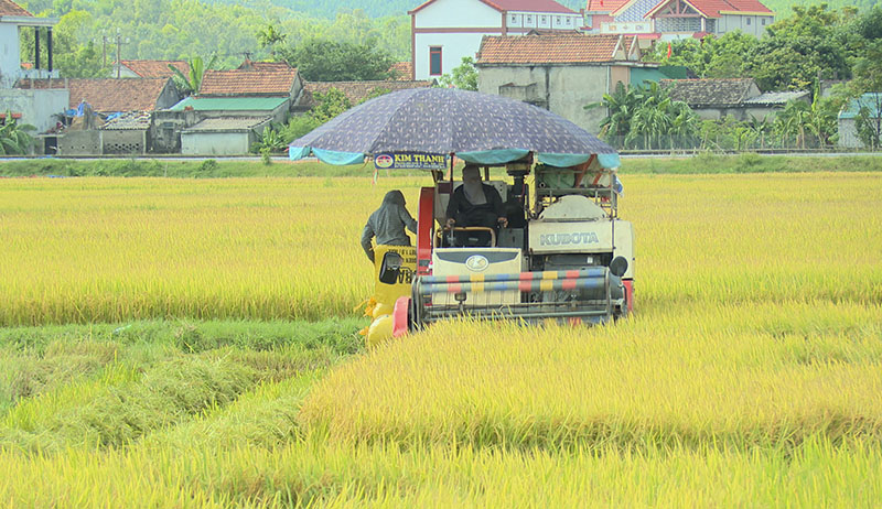 Ứng dụng cơ giới hóa vào sản xuất nông nghiệp góp phần nâng cao năng suất cho người dân trên địa bàn.