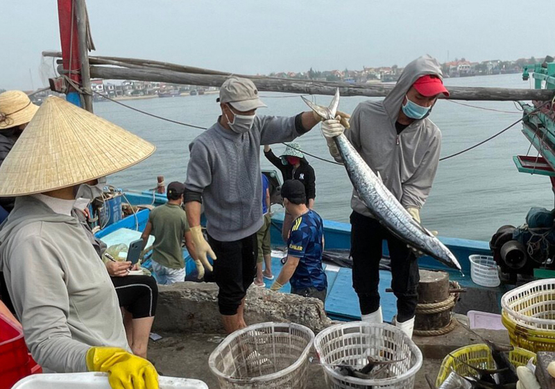 Những chuyến biển được mùa, được giá là động lực để ngư dân tiếp tục bám biển.
