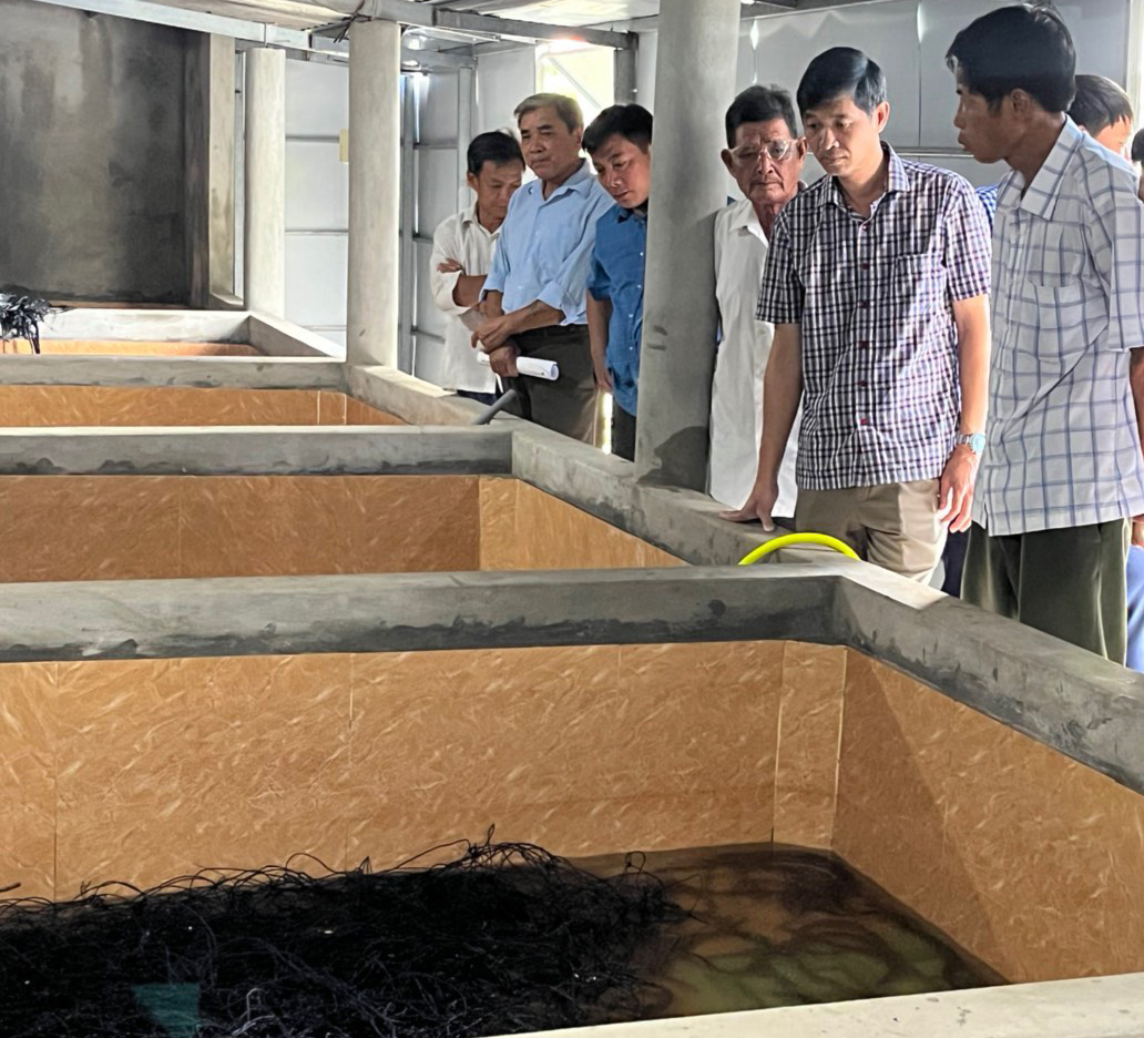 Mô hình nuôi lươn trong bể không bùn sẽ đa dạng hóa đối tượng và hình thức nuôi thủy sản.