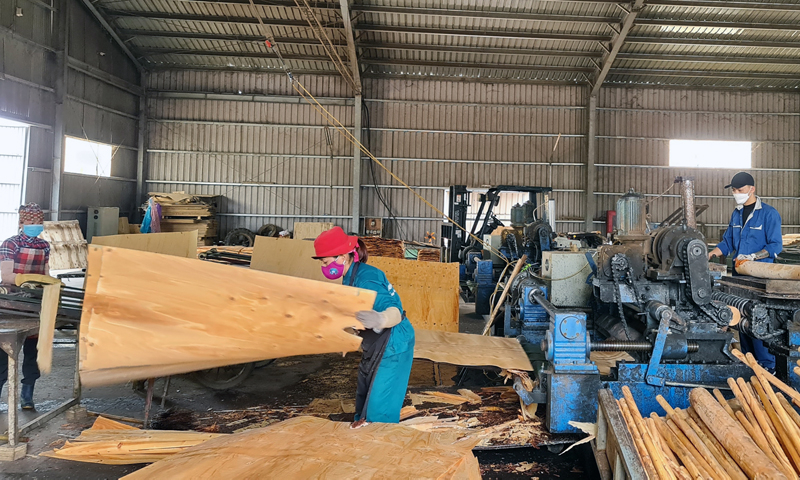 Ngành Thuế tỉnh tích cực tạo thuận lợi cho doanh nghiệp đẩy mạnh SXKD, nuôi dưỡng nguồn thu ngân sách.