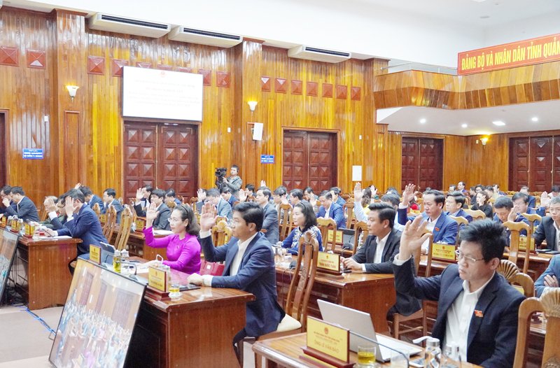 Các đại biểu biểu quyết thông qua nghị quyết.