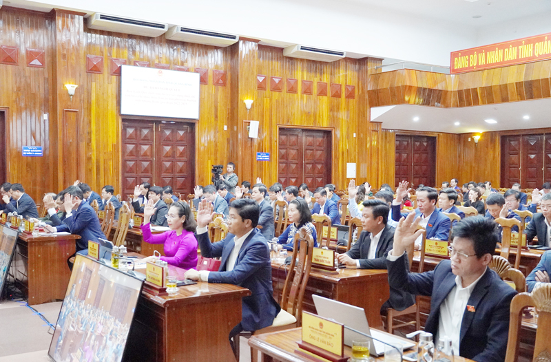Các đại biểu biểu quyết thông qua các nghị quyết.