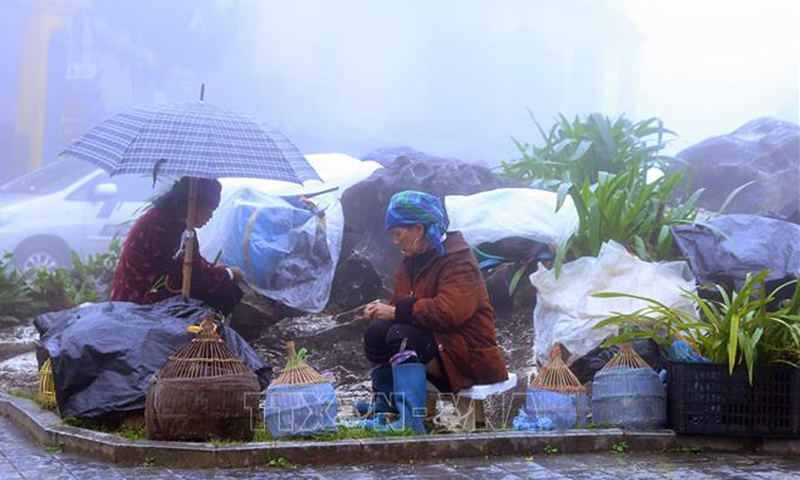Người dân Sapa mưu sinh trong giá rét. Ảnh: Quốc Khánh/TTXVN