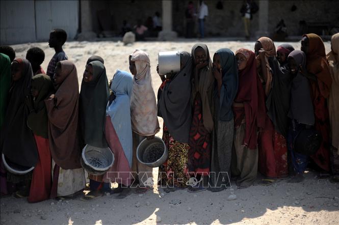 Các em nhỏ chờ nhận bữa ăn tại một điểm phân phối thực phẩm viện trợ ở Mogadishu, Somalia, ngày 18/8/2011. Ảnh: AFP/TTXVN