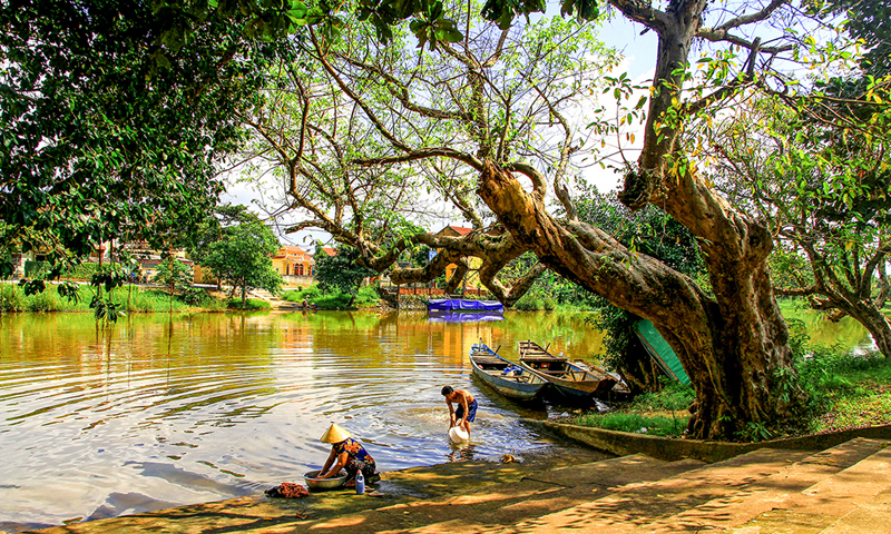 Kiến Giang bến nắng. 