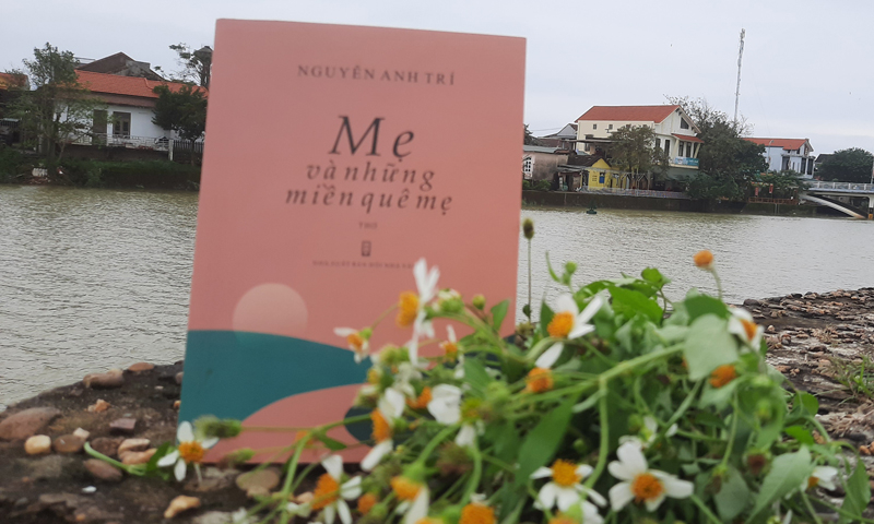 (Ảnh minh họa)