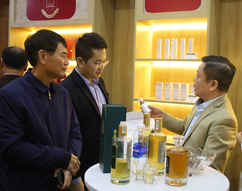 Khách hàng tham quan, trải nghiệm các sản phẩm của showroom sâm Ngọc Linh tại TP. Đồng Hới. 
