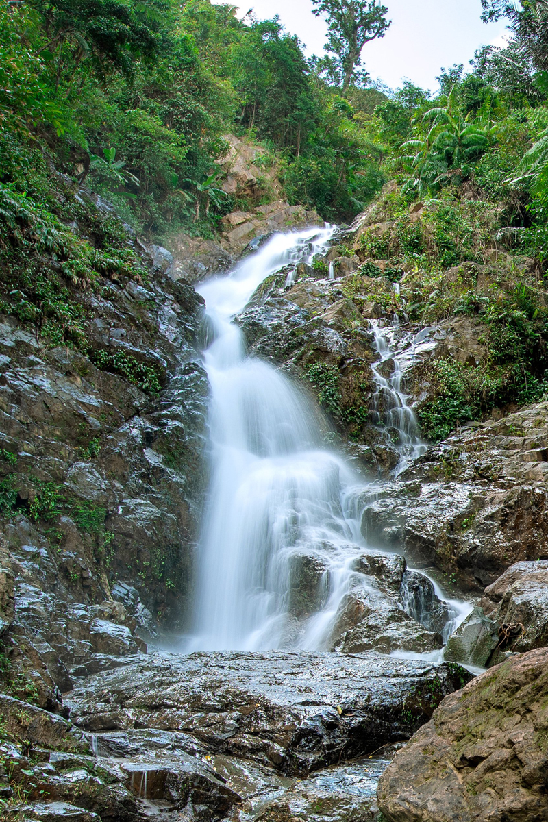 (Ảnh minh họa)