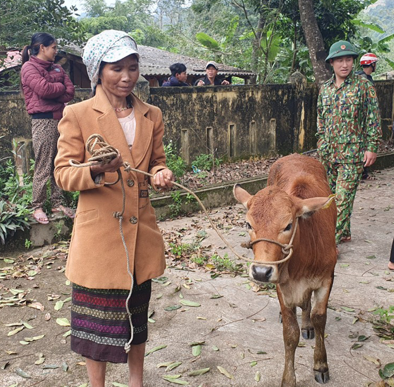 Bà con phấn khởi khi nhận được bò giống để xoá đói giảm nghèo.