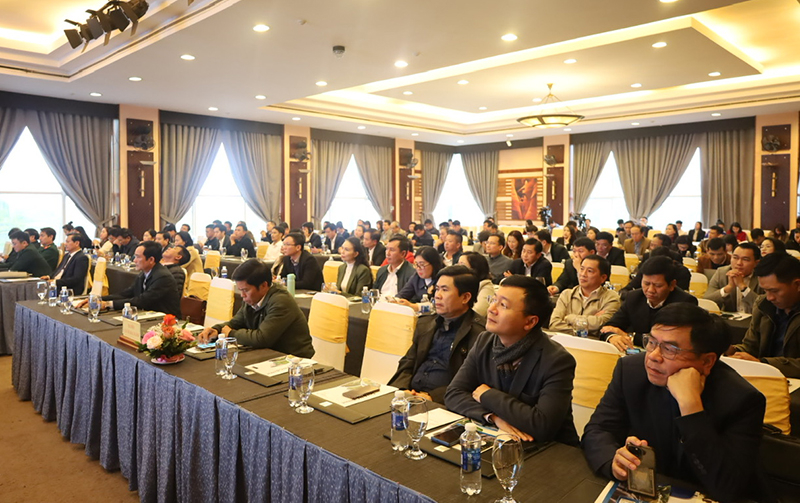 Các đại biểu tham dự hội nghị. 