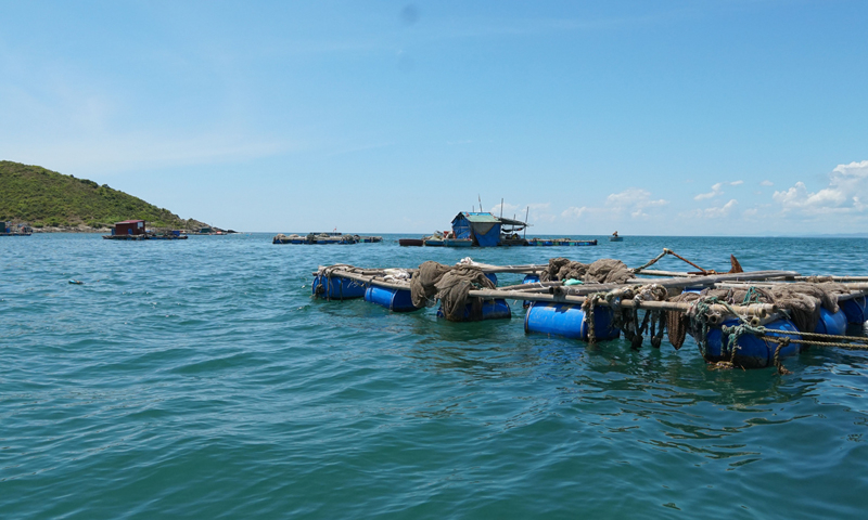 Người dân Quảng Đông nuôi cá lồng trên biển Hòn La.