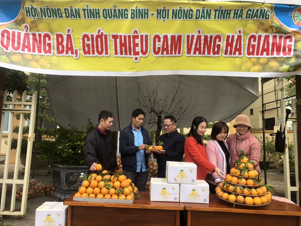 : Hội ND tỉnh, Trung tâm giáo dục nghề nghiệp và Hỗ trợ nông dân-phụ nữ tỉnh tổ chức 2 điểm giới thiệu, hỗ trợ tiêu thụ sản phẩm cam vàng Hà Giang.