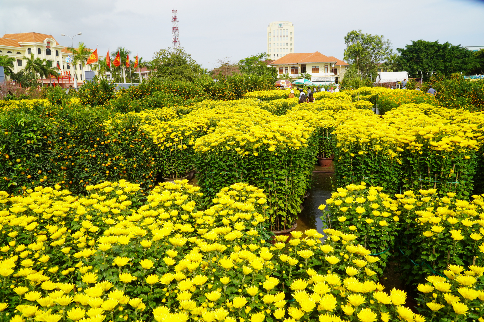 Chợ hoa ngày giáp Tết               Ảnh: T.H