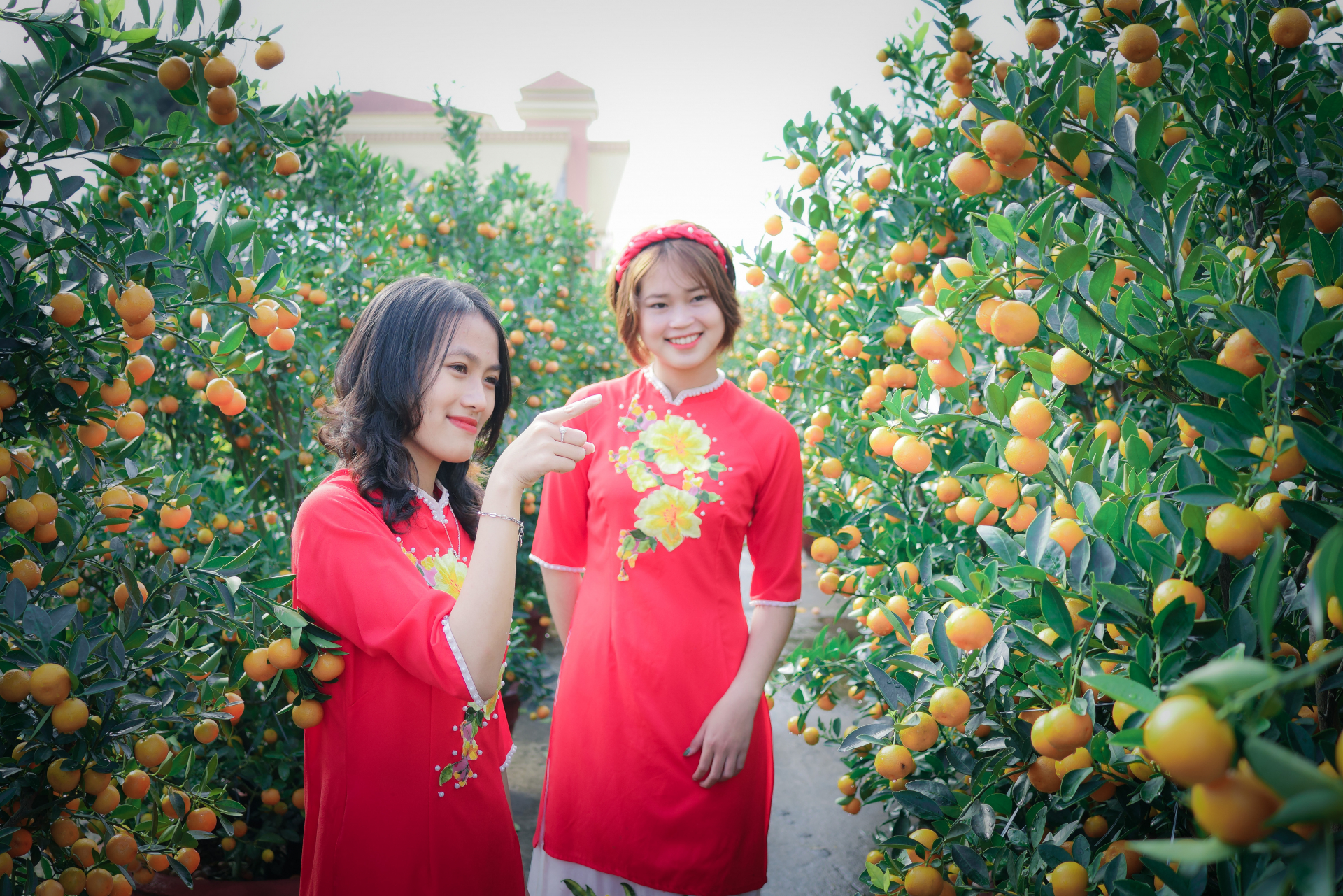 (Ảnh minh họa)