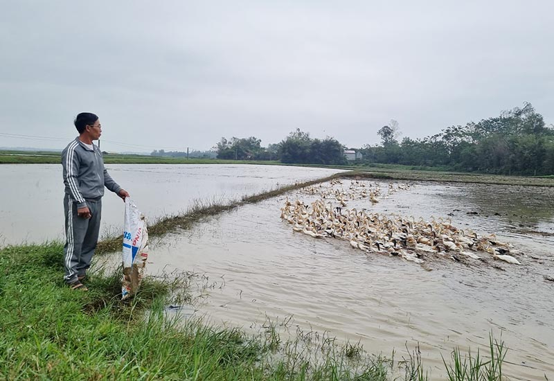 Không chỉ làm tốt công tác xã hội, anh Tiến còn là tấm gương trong phát triển kinh tế.