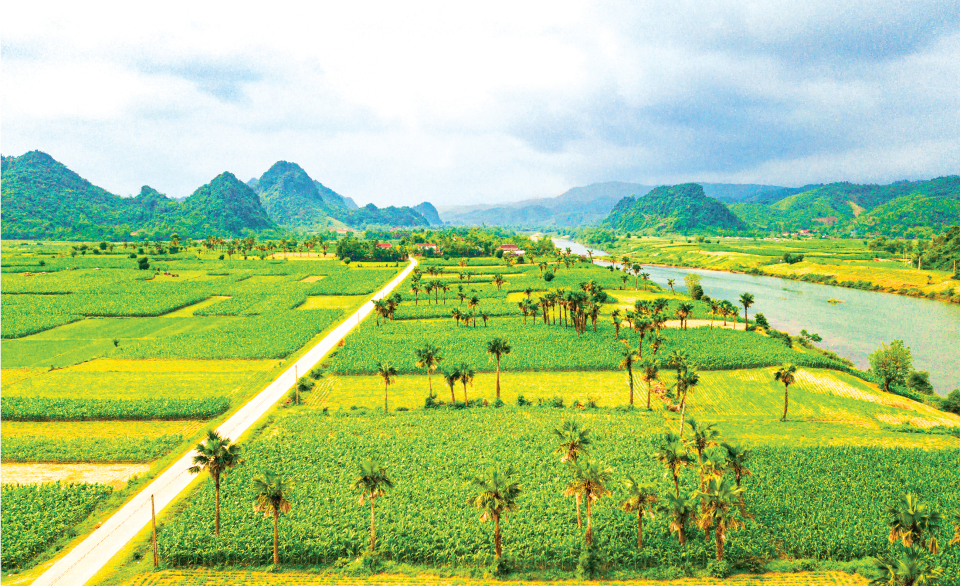 Mùa sang. Ảnh: Phạm Văn Thức