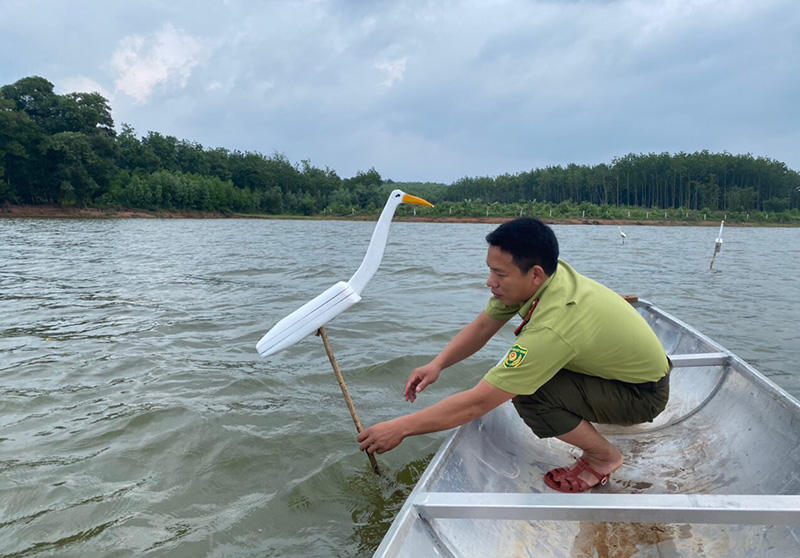 Lực lượng Kiểm lâm huyện Lệ Thủy thu hồi cò giả gần bẫy chim.