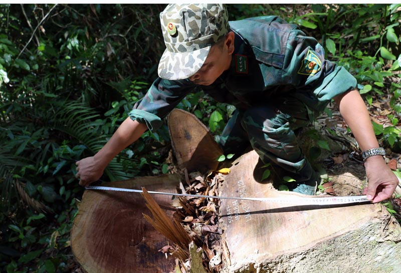 Hạt Kiểm lâm huyện Minh Hóa chú trọng công tác tuần tra, bảo vệ rừng.