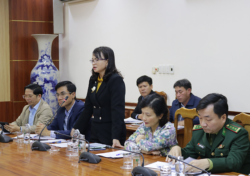 Đại biểu phát biểu tại cuộc họp.