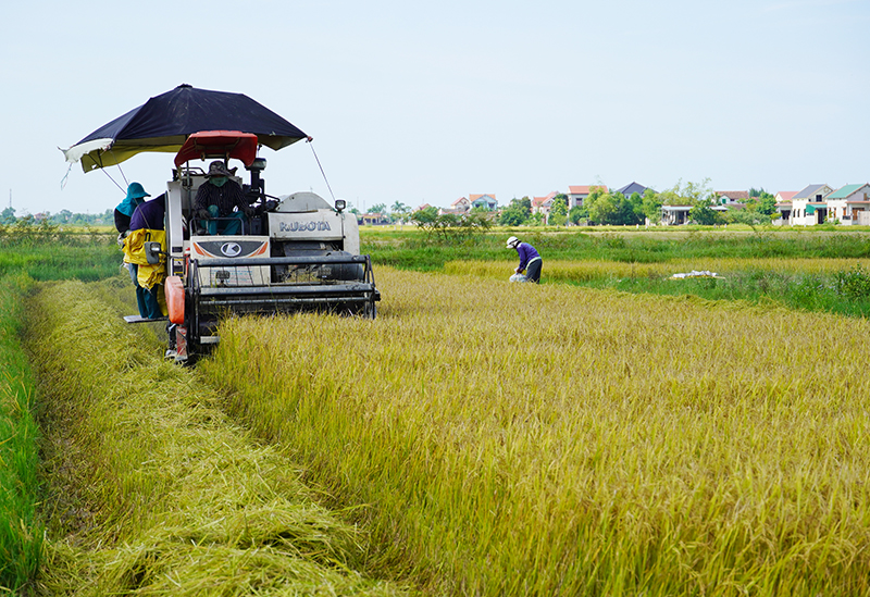 Các chính sách liên quan đến nông nghiệp, hỗ trợ tiêu thụ sản phẩm là nhóm vấn đề được nhiều đại biểu nông dân quan tâm.